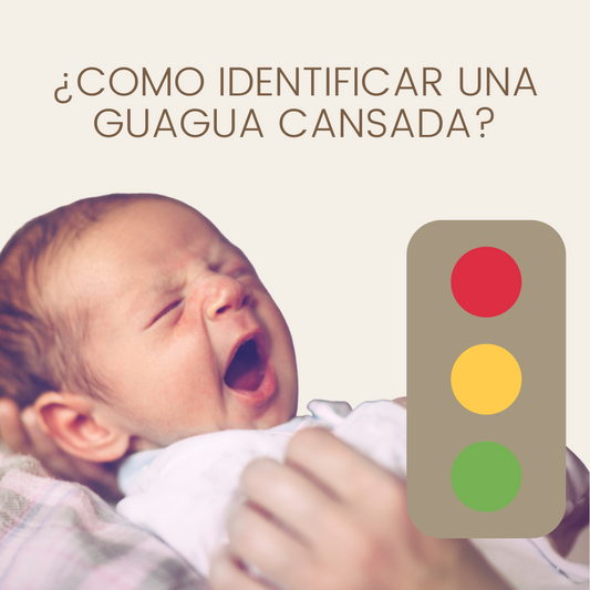 ¿COMO IDENTIFICAR UNA GUAGUA CANSADA?