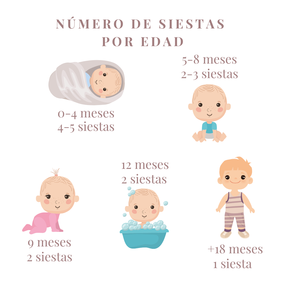 NÚMERO DE SIESTAS POR EDAD