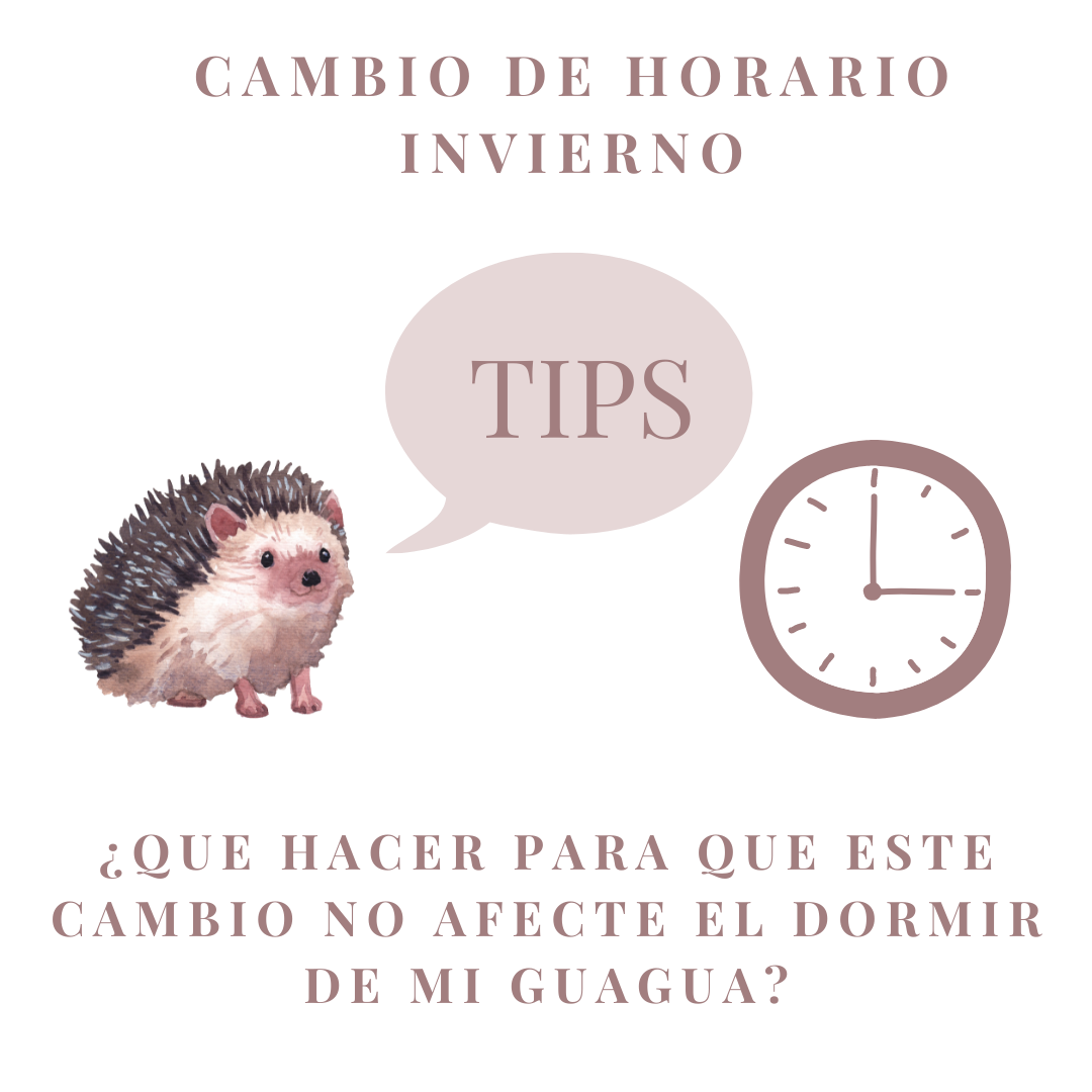 CAMBIO DE HORARIO INVIERNO