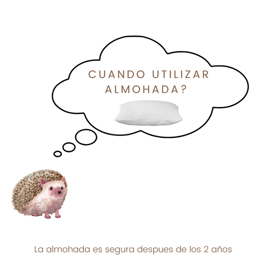 ¿CUANDO UTILIZAR ALMOHADA?